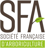 sfa